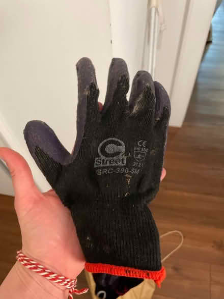 Photo of free 10+ pairs of gardening gloves (Columbia Heights) #2