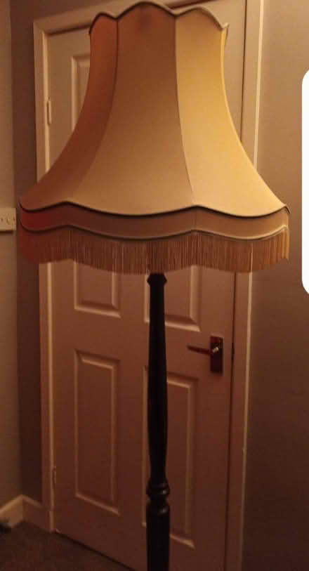 Photo of free Standard lamp. (Birstall LE4) #2