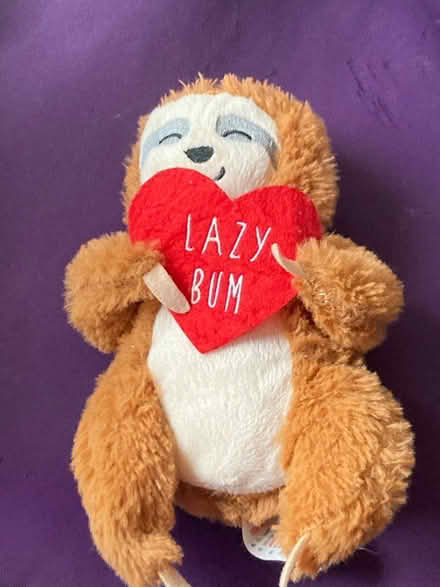 Photo of free Small cuddly toy sloth (Bristol BS14) #1