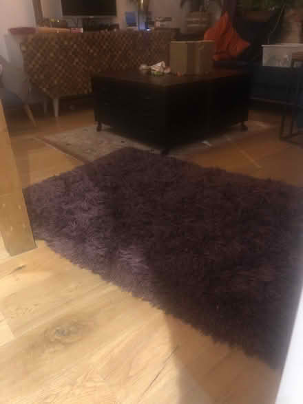 Photo of free Purple long hair rug (Brighton North Laine) #1