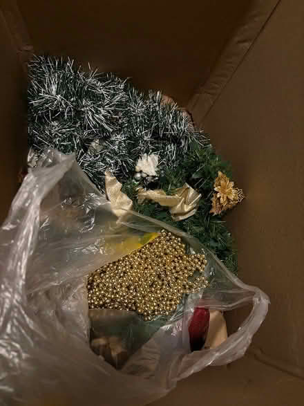 Photo of free Christmas decorations (Stivichall Coventry) #1