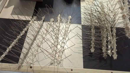 Photo of free Pigeon spikes (James & Kent) #1