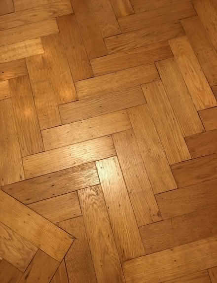 Photo of free Parquet flooring (Old Town TN40) #2