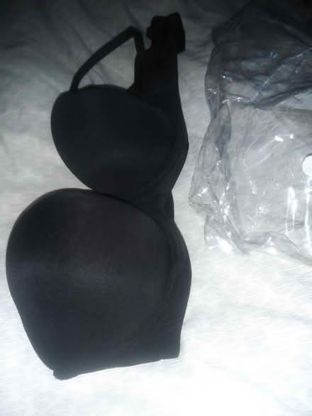 Photo of free New Bra (South Tottenham N15) #1