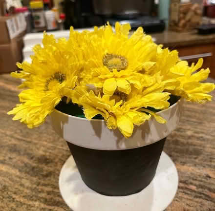 Photo of free Pot of faux yellow daisies (Capitol Hill NE (20002)) #1