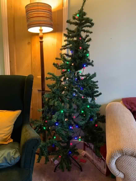 Photo of free Artificial Christmas Tree (Radstock BA3) #1