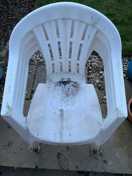 Photo of free 4 plastic garden chairs (NE24 South Beach, Blyth) #2