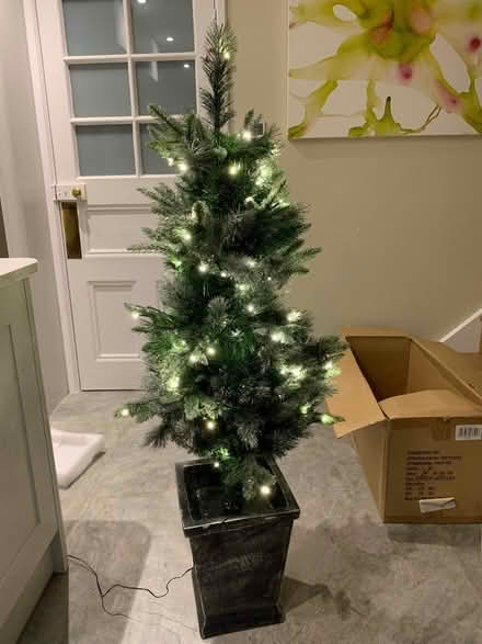 Photo of free Christmas tree (Ashtead KT21) #1