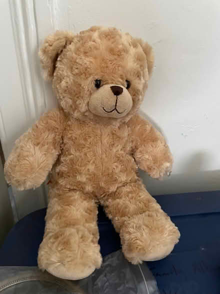 Photo of free new stuffed bear (Red Bank) #1