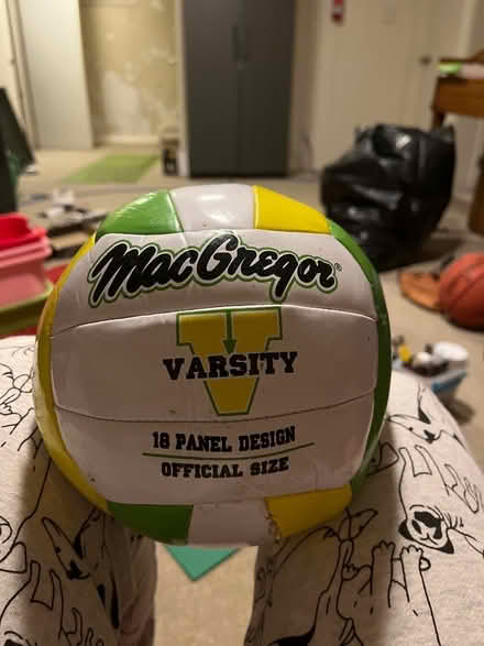 Photo of free Volleyball (Bloor West Village) #1