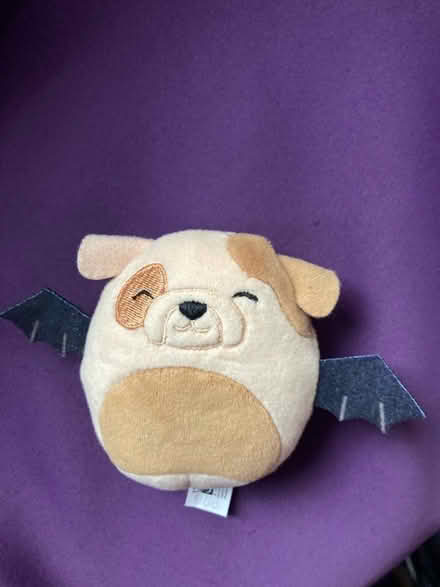 Photo of free Squishmallow small toy (Bristol BS14) #1