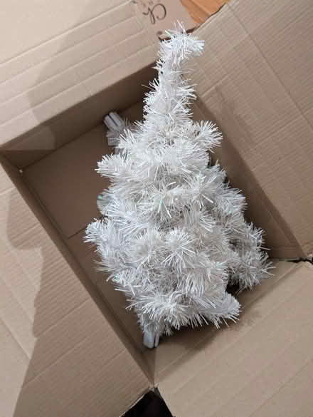 Photo of free Two mini (2 foot) white Christmas Trees (Blackborough End PE32) #1