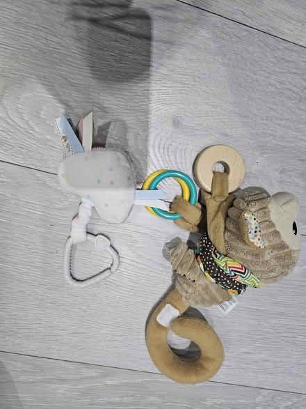 Photo of free Baby music monkey (Hall green) #3