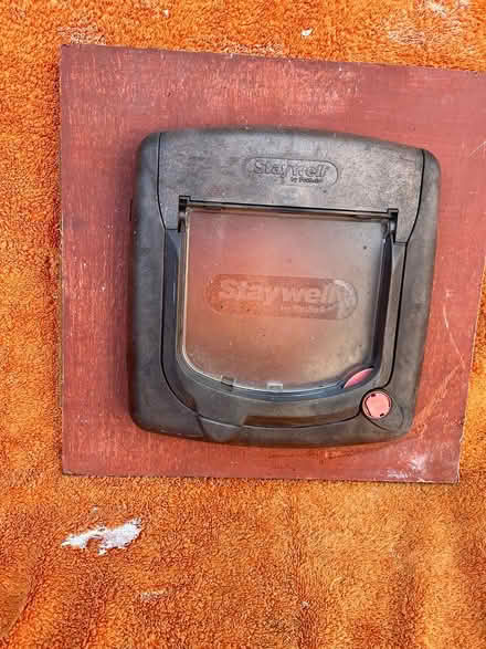 Photo of free Cat flap (BN42 southwick) #1