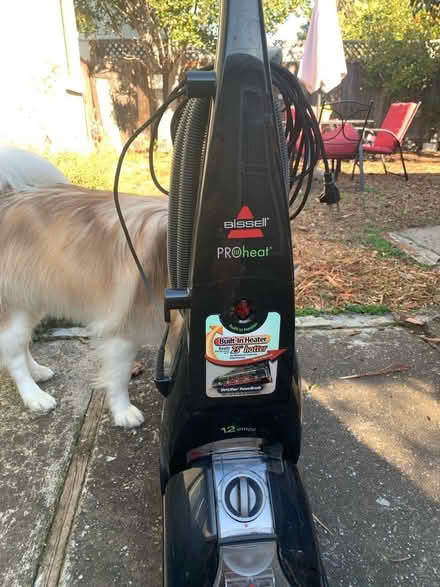 Photo of free carpet cleaner (Manor. San Leandro) #3