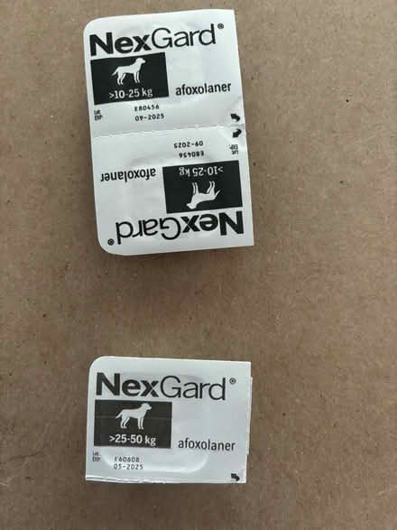 Photo of free Nexgard chewables (Torrington CT) #2