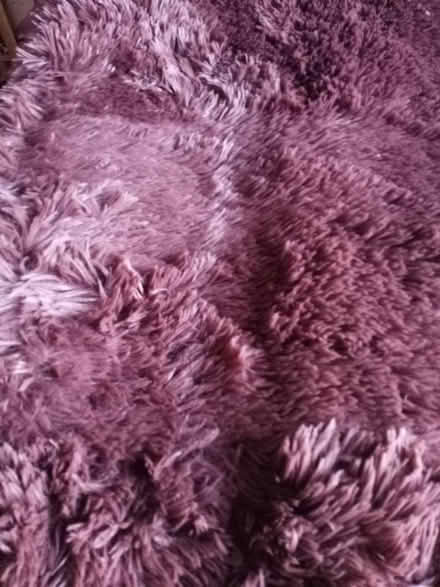 Photo of free Large fluffy rug (Acklam TS5) #2