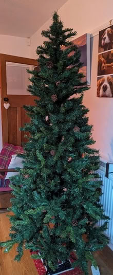 Photo of free Christmas Tree and baubles (Leicester LE3) #1