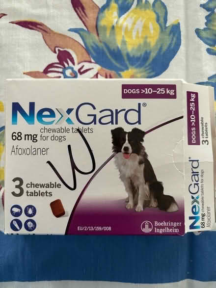 Photo of free Nexgard chewables (Torrington CT) #1