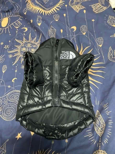 Photo of free XS dog coat and S harness with lead (Bromley, BR1) #2