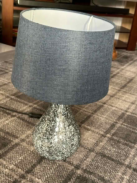 Photo of free Silver and navy reading lamp (Milnrow, OL16) #1