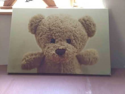 Photo of free Teddy bear picture (Ruckhall HR2) #1