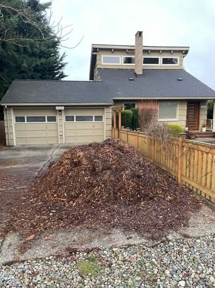 Photo of free Wood chips (North Seattle) #1