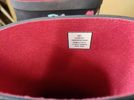 Photo of free Wellington boots - Joules size 5 UK (Emsworth PO10) #1