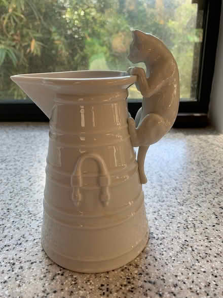 Photo of free Cat Pitcher (Near Maclay School) #1