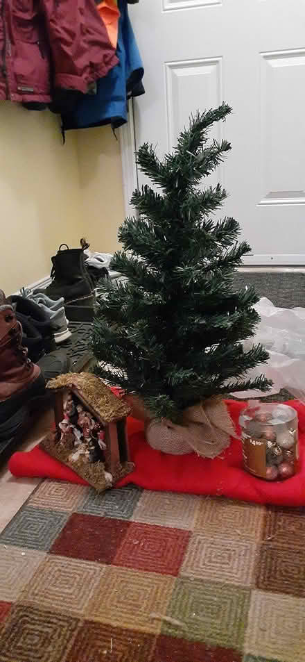 Photo of free mini Christmas tree set (Riverside South) #1