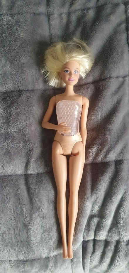 Photo of free Barbie (Banner Cross S11) #1