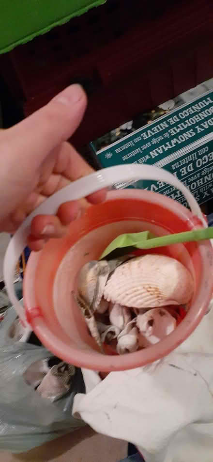 Photo of free Summer Fun (bundle or seperate) (Riverside South) #2