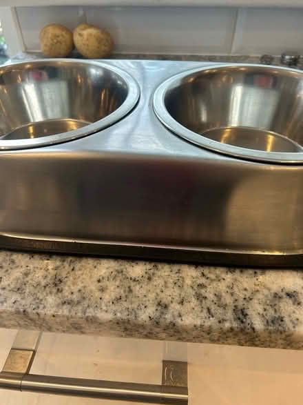 Photo of free Dog bowl set (BN16) #1