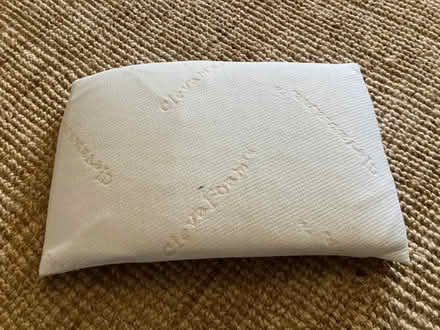 Photo of free Toddler/cot bed pillow (Oakwood LS8) #1