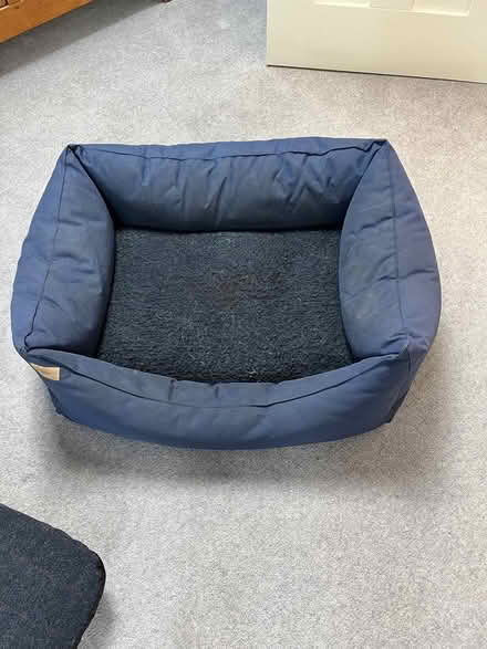 Photo of free Dog beds (OX2 (North Oxford)) #1