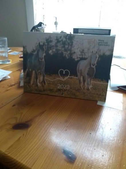 Photo of free 2023 Mare and Foal Sanctuary calendar (Enfield EN2) #2