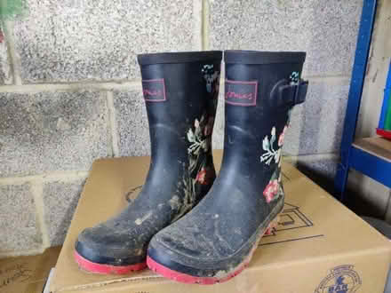 Photo of free Wellington boots - Joules size 5 UK (Emsworth PO10) #2