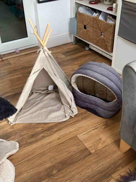 Photo of free Pet wigwam and bed (Beckenham Hill BR1) #1