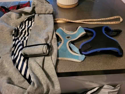 Photo of free Puppy stuff (Upton CH2) #1