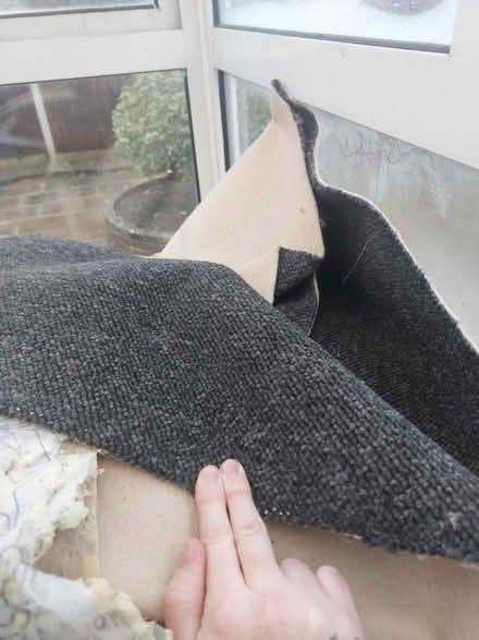 Photo of free Carpet and underlay (DE3) #1