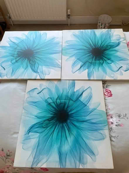 Photo of free 3 canvas blue flower pictures (Talbot Village BH10) #1