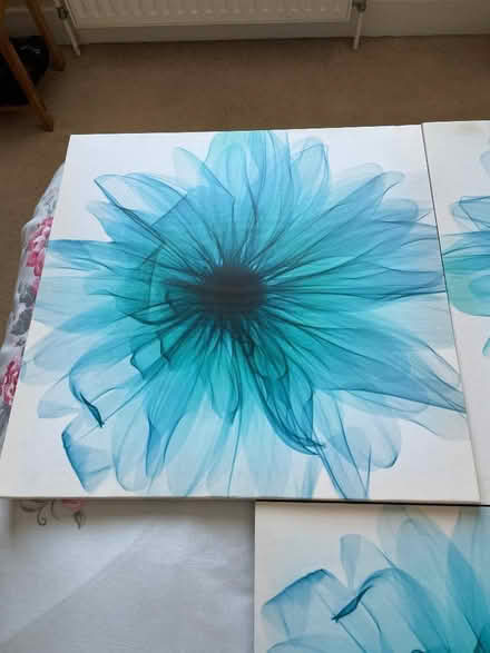 Photo of free 3 canvas blue flower pictures (Talbot Village BH10) #2