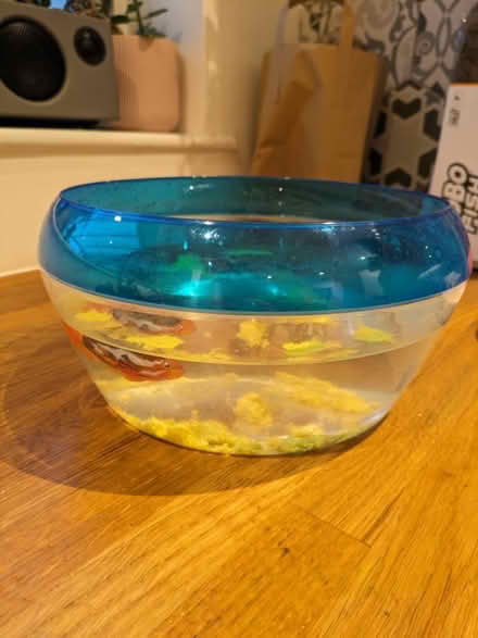 Photo of free Robo fish and tank (CV7) #1