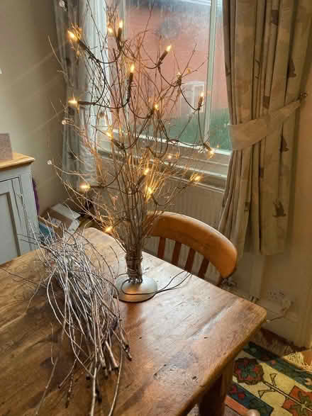 Photo of free Christmas Decoration and long silver twigs (Belle Vue SY3) #1