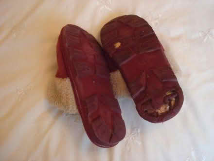 Photo of free M&S suede slippers size 5 (Cropston LE7) #2