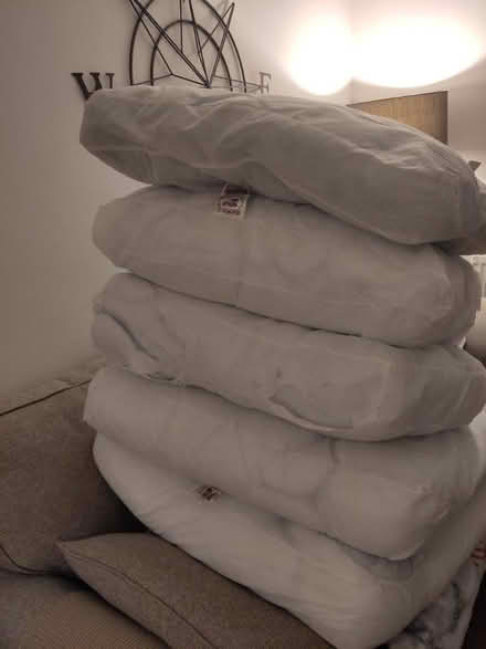 Photo of free Sofa Seat Cushions (RH19) #1