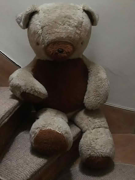 Photo of free Large teddy (Barnard's Green WR14) #2
