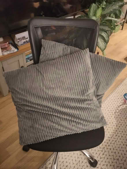 Photo of free 2 Grey Cushions (RH19) #1