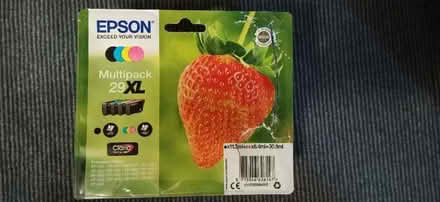 Photo of free Epson ink cartridges 29XL (Kingsway) #1