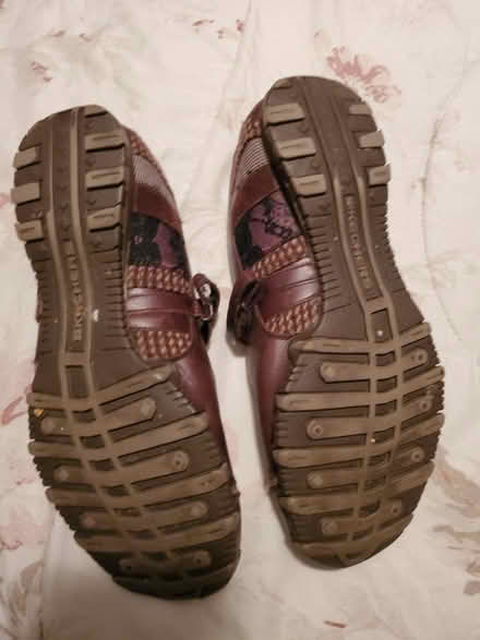 Photo of free Skechers brown flats shoes? (East, close to NE) #3